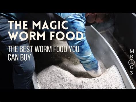 The Surprising Benefits of Feeding Magic Worms Different Types of Food